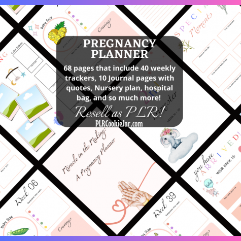 Pregnancy Planner