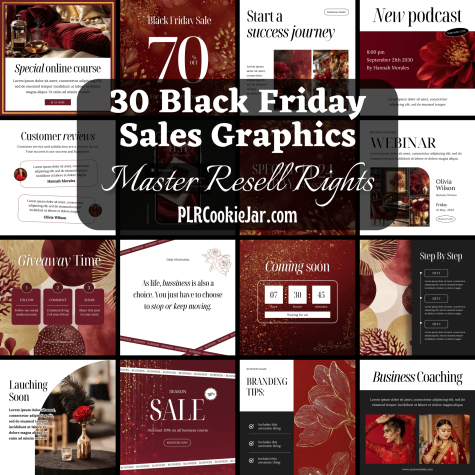 30 Black Friday Sales Graphics